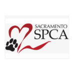 Screenshot 2026-04-06 115850